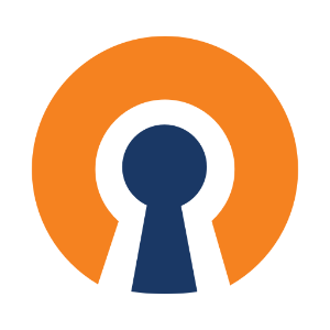 Logo for VPN Client